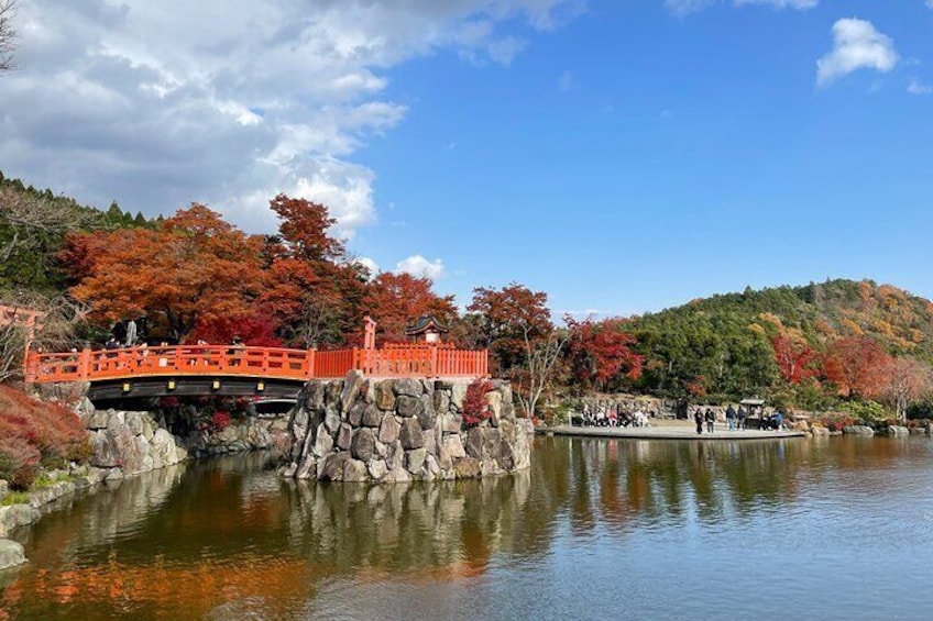 Visit more local and harder to reach locations like Katsuoji Temple