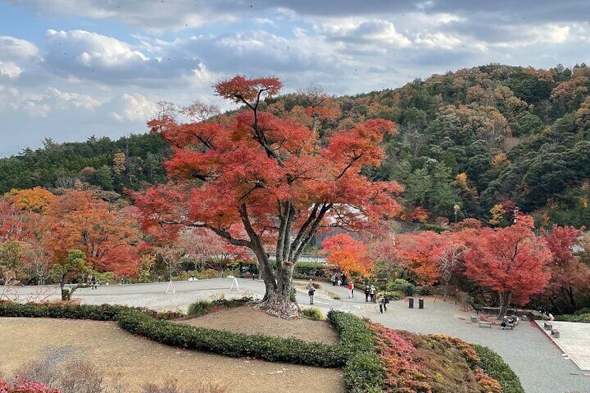 Each season has its own unique beauty and atmosphere