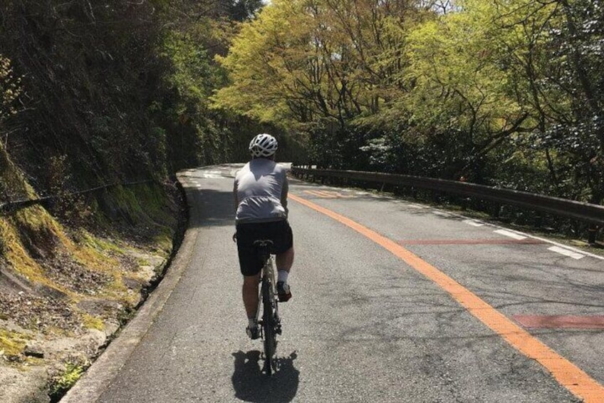 Private & Customized - Kansai Cycle tour