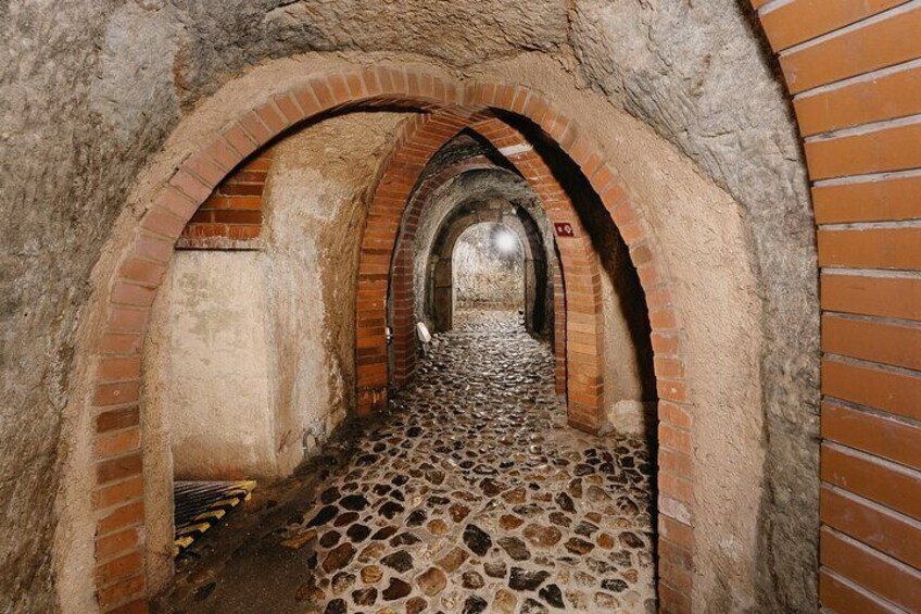 Ticket to Pilsen Historic Underground with a Glass of Beer