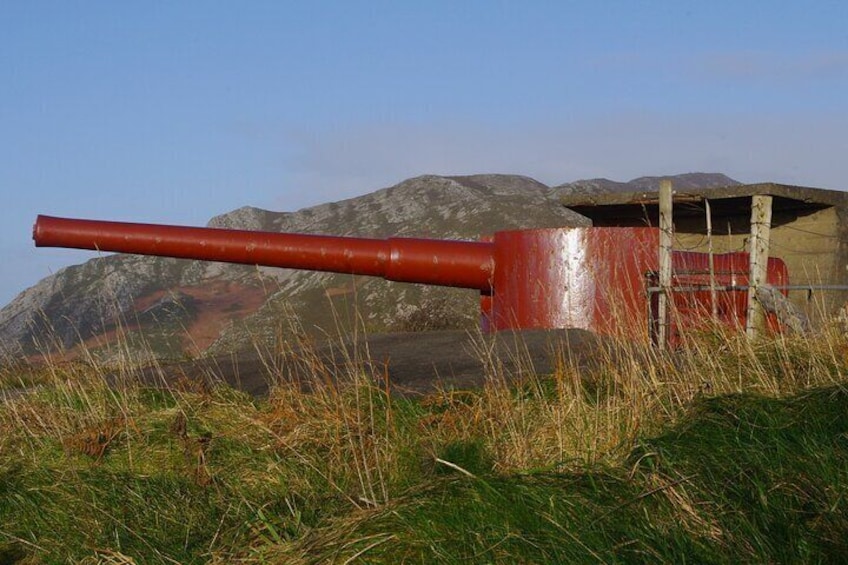 The guns of Dunree.