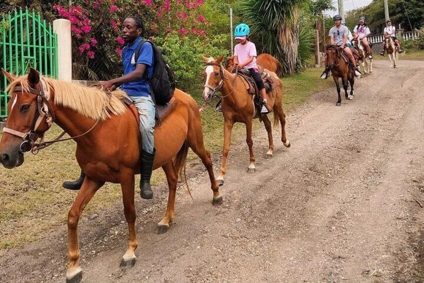  St. Kitts' Equestrian Scenic Escape