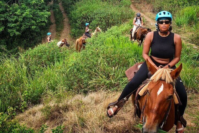  St. Kitts' Equestrian Scenic Escape