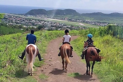 Horseback Riding, A Scenic Escape