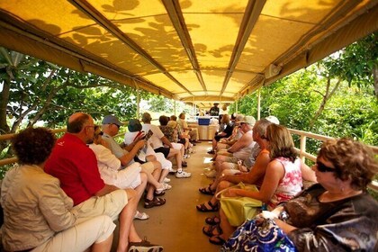 The Kittitian Scenic Train Experience