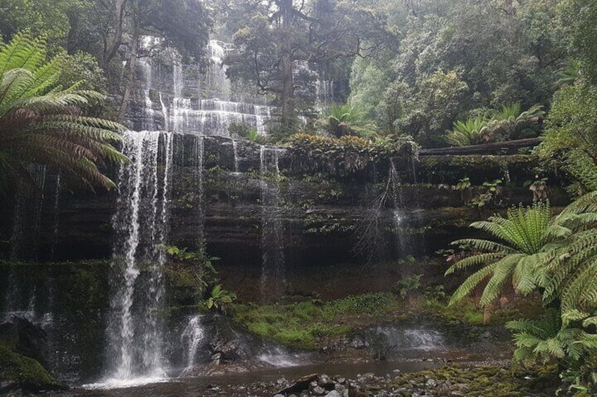 Mount Field trek with wildtasmaniatours.com