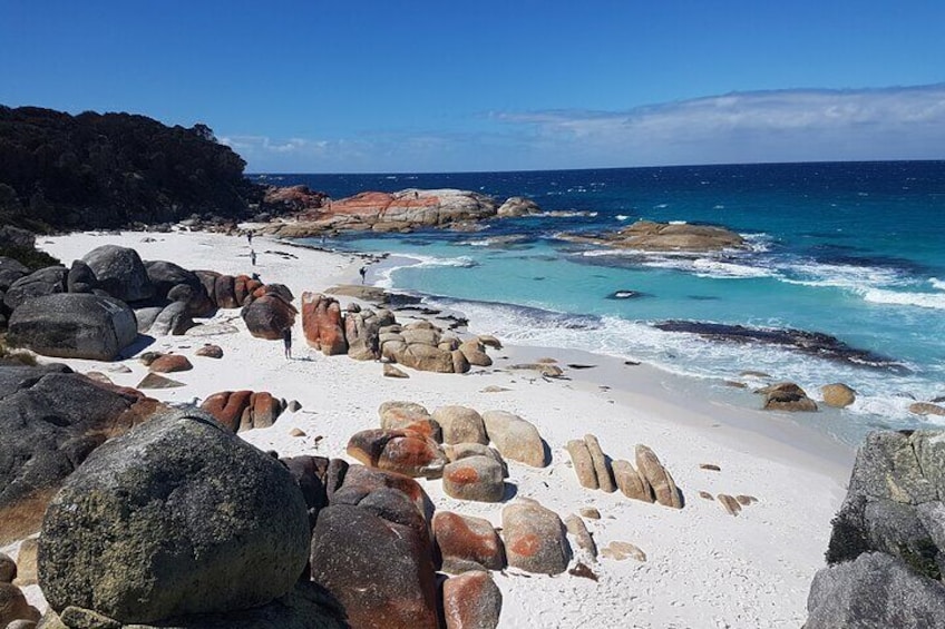 Bay of Fires on our wildtasmaniatours.com tour