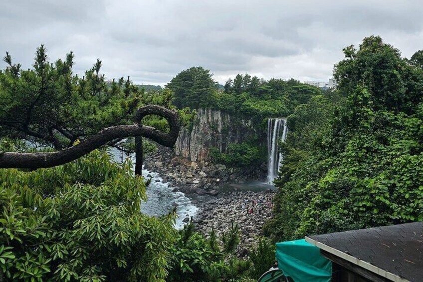 Private Full-day Tour in Jeju with Taxi Guide