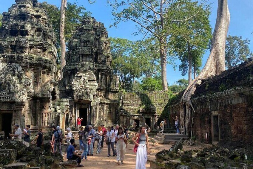 Private Angkor Wat and Lost Temple Jungle Tour