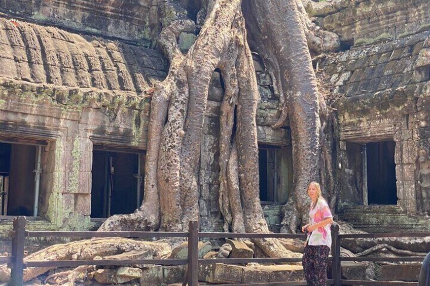 Jungle Temple Ta Prohm