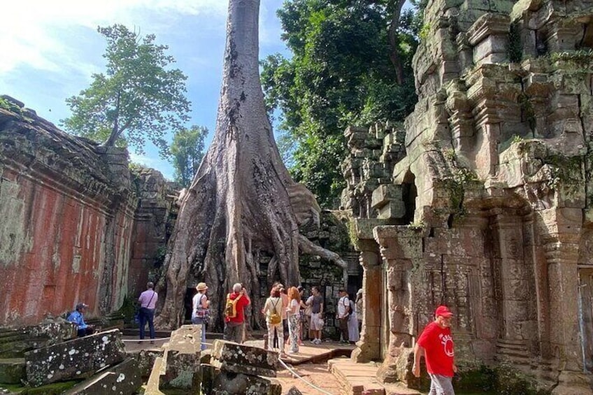 Private Angkor Wat and Lost Temple Jungle Tour