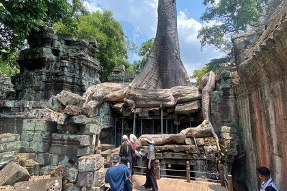 Private Angkor Wat and Lost Temple Jungle Tour