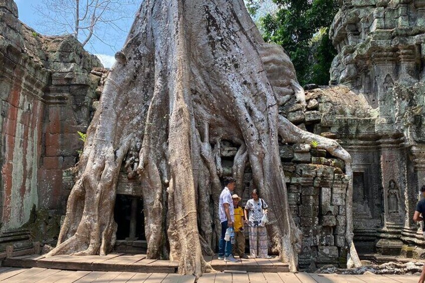 Private Angkor Wat and Lost Temple Jungle Tour