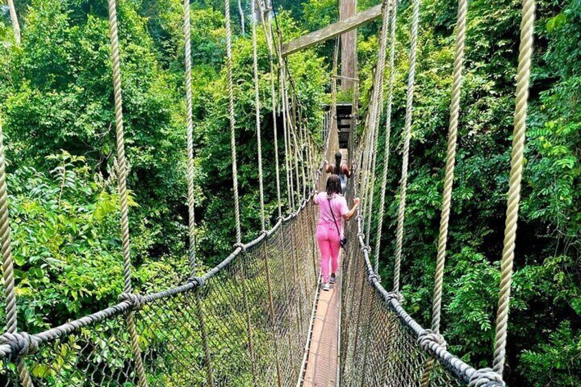 10 Days Ghana Culture & Sightseeing Tour