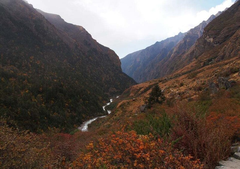 Picture 1 for Activity Kathmandu: Langtang Valley Trek