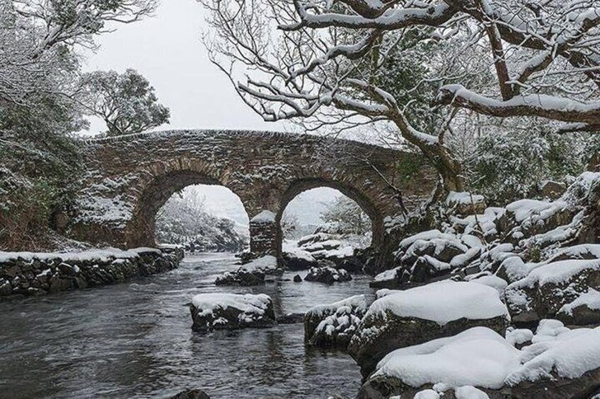 The Meeting of the Waters, Dinis Island, Lakes of Killarney (Minimum 6 people)