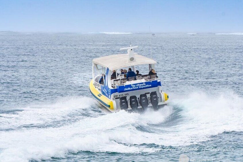 Whale Watching Cruise in New South Wales