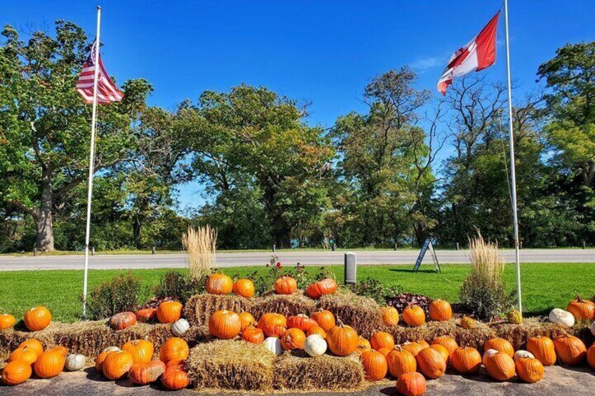 Pumpkin season @ Walker's Country Market