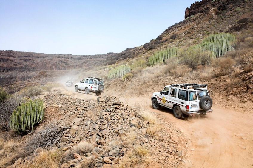 Fuerteventura 4x4 Tour and Lobos Island Catamaran Trip with Lunch