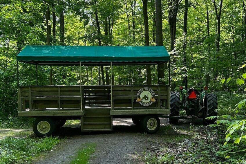 Covered wagon brings you into the forest