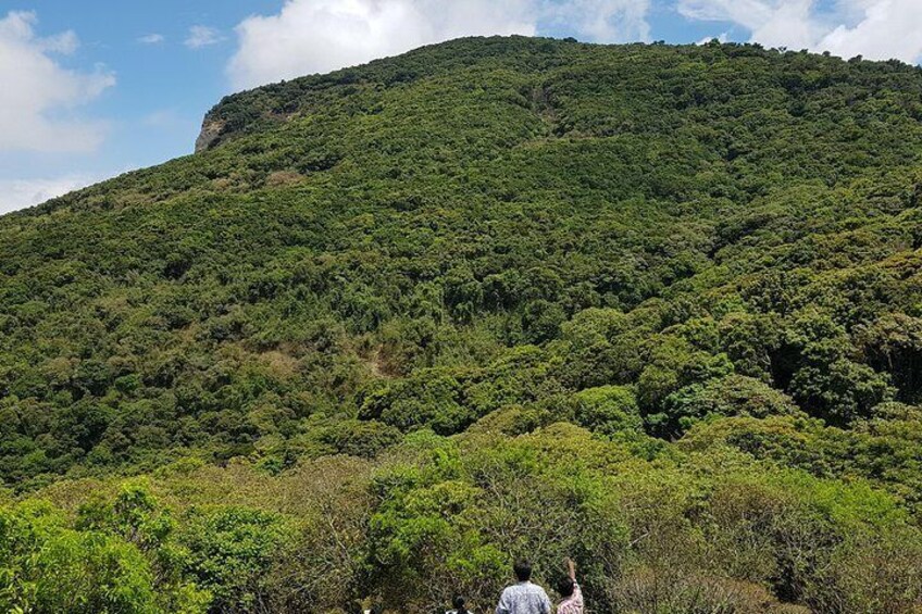 Munnar trek - Western Ghats