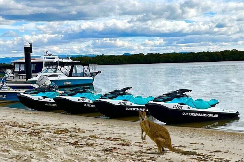 2.5 hr Jet Ski Safaris tour - Ultimate Adventure + island stop