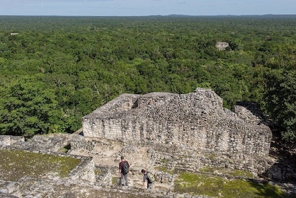 Full Day Tour to Calakmul with Pick Up