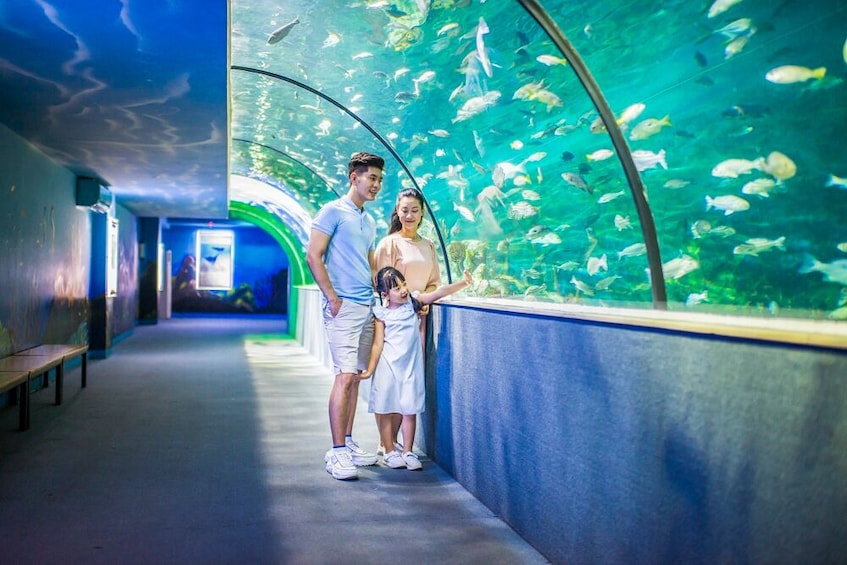 Vietnam: VinKE & Vinpearl Aquarium