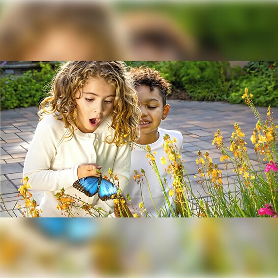 Butterfly Garden With Shuttle Transfer