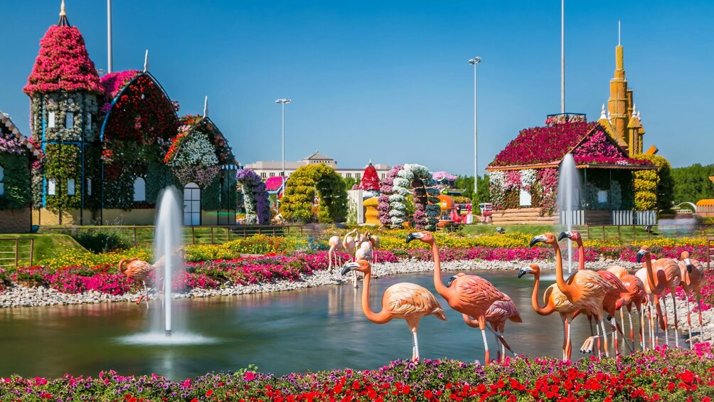 Butterfly Garden With Shuttle Transfer 