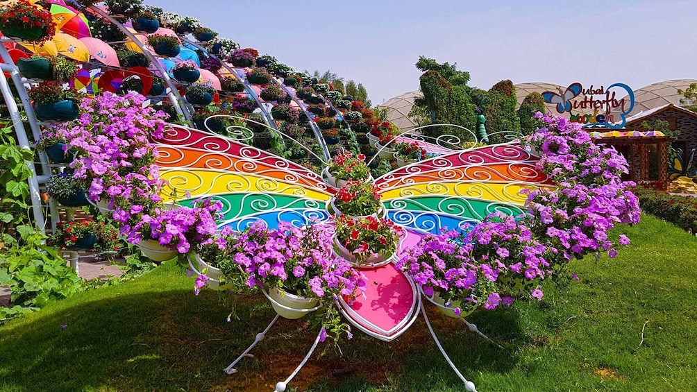 Butterfly Garden - Dubai	