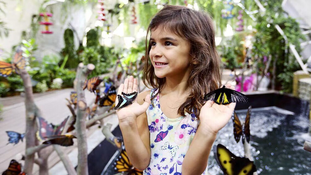 Butterfly Garden With Shuttle Transfer 