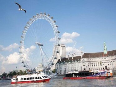 Recorrido a pie por Harry Potter, crucero por el río y London Eye