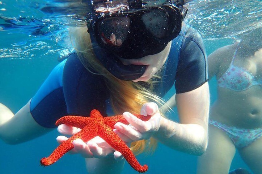 Snorkeling excursion to Tabarca Island