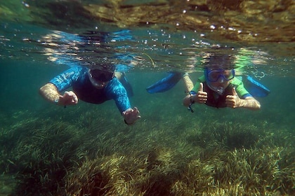 Snorkelling excursion in Isla de Tabarca