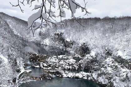 Day trip to PLITVICE LAKES - FROM ZAGREB!