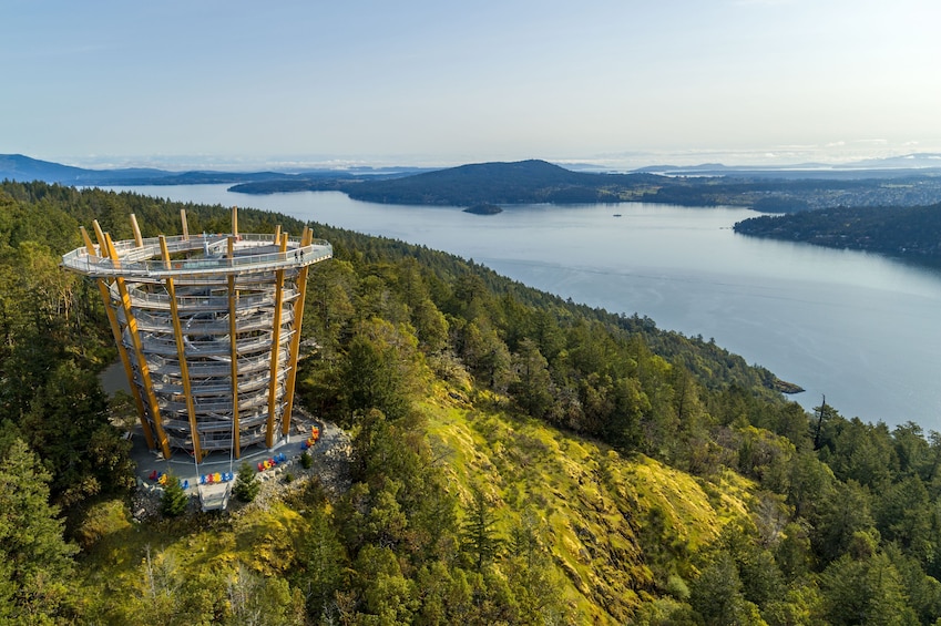 Malahat SkyWalk General Admission Tickets