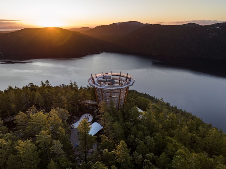 Malahat SkyWalk General Admission Tickets