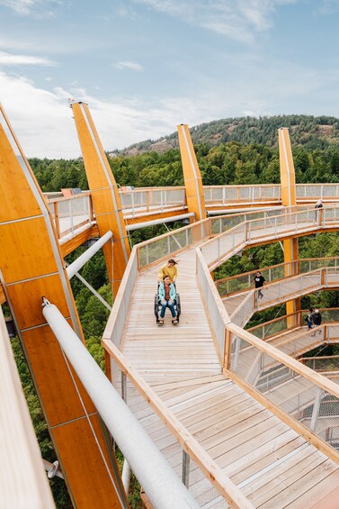Malahat SkyWalk General Admission Tickets