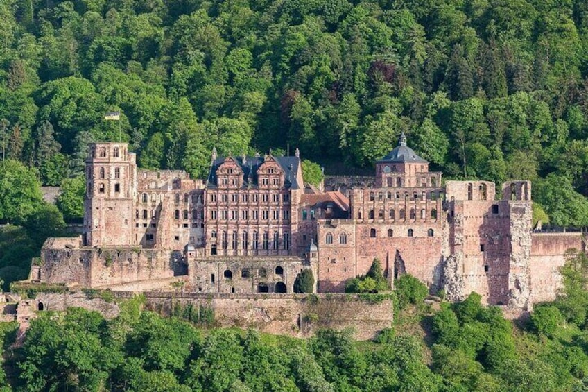 from Frankfurt: historic Heidelberg, Mercedes Benz Museum & Schwetzingen palace