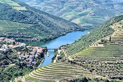 Porto: Douro Valley Tour with 2 Farms, lunch & boat trip