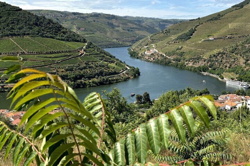 Douro Valley