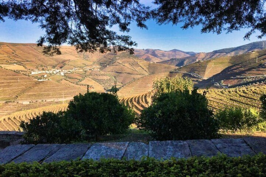 Porto: Douro Valley Tour with 2 Farms, lunch & boat trip