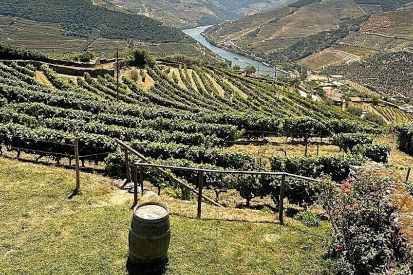 Douro Valley Landscape