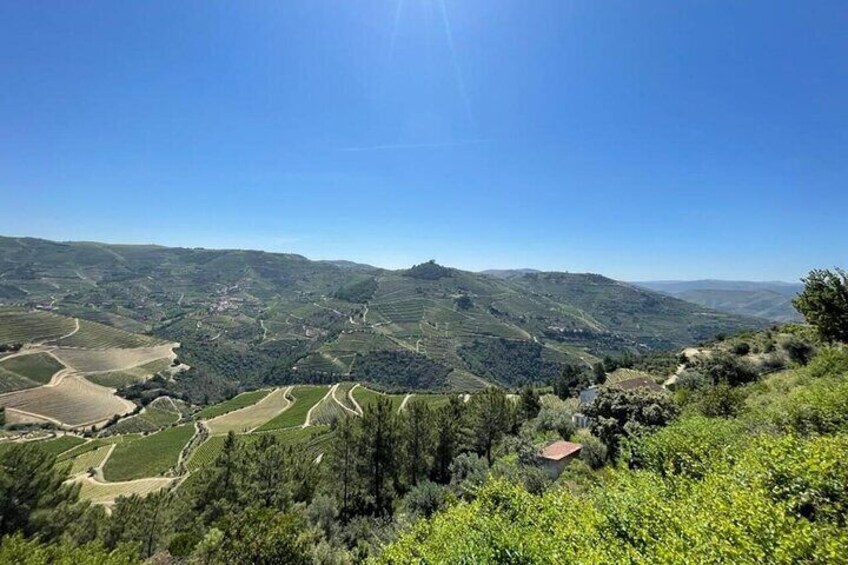 Douro Valley Views