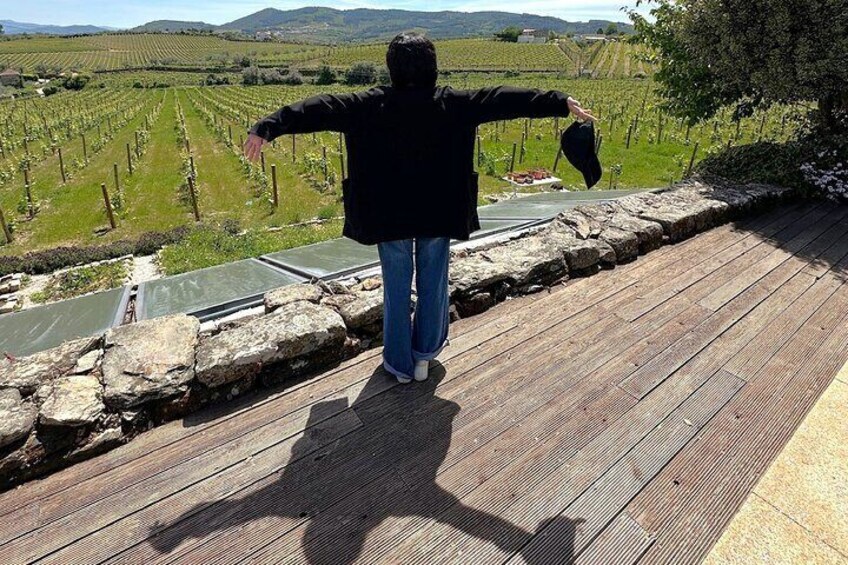 Porto: Douro Valley Tour with 2 Farms, lunch & boat trip