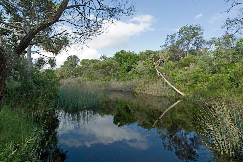 2 Day Fraser (K'Gari) 4WD camping Adventure tour