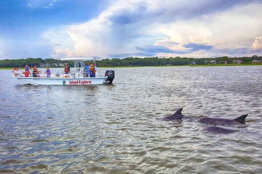 Two Hour Dolphin Encounter