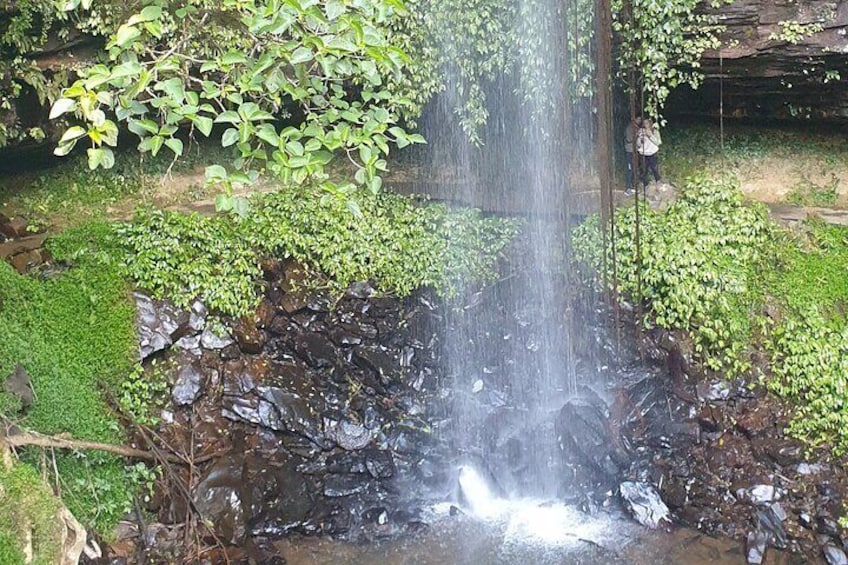 Crystal Shower Falls, Dorrigo.