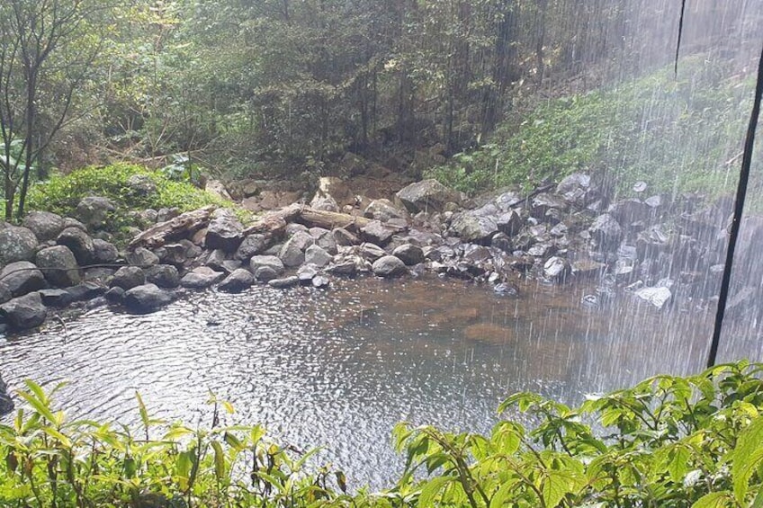 Crystal Shower Falls, Dorrigo.